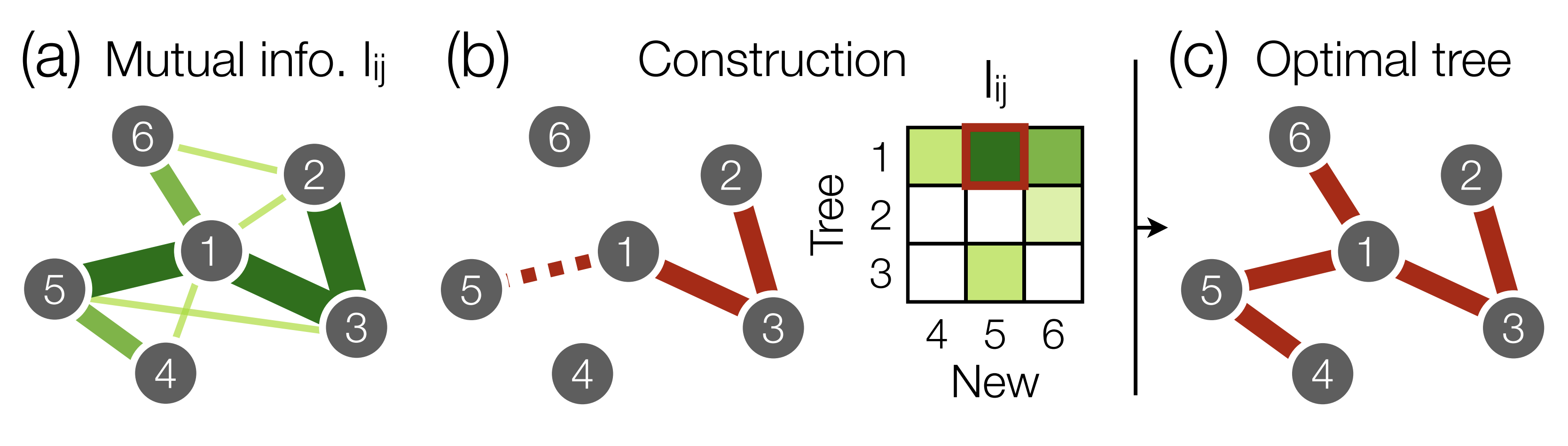 optimal minimax tree